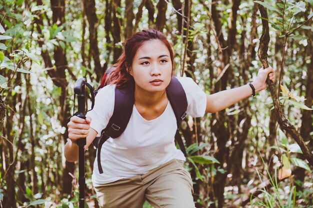 Junge Frau Reisenden mit Rucksack in einem Wald. Wandern im Sommer.