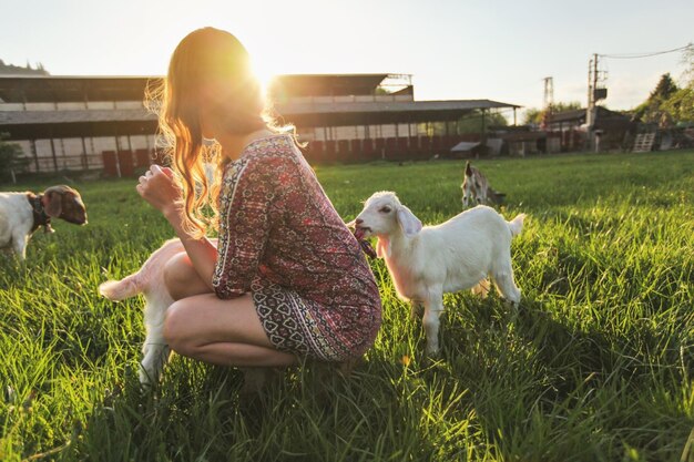 Junge Frau spielt mit Ziegenkindern auf grüner Frühlingswiese, Tier kaut ihr Kleid hinter sich. Weitwinkelfoto bei starker Sonneneinstrahlung