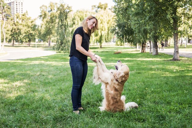 Junge Frau und Retriever auf einem Hintergrund von grünem Gras an der frischen Luft.