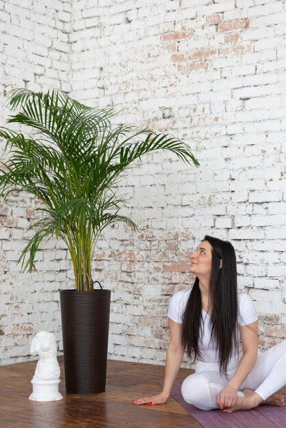 Junge Frauen, die von zu Hause aus nach einem Online-Training am Computer oder online trainieren oder Yoga machen