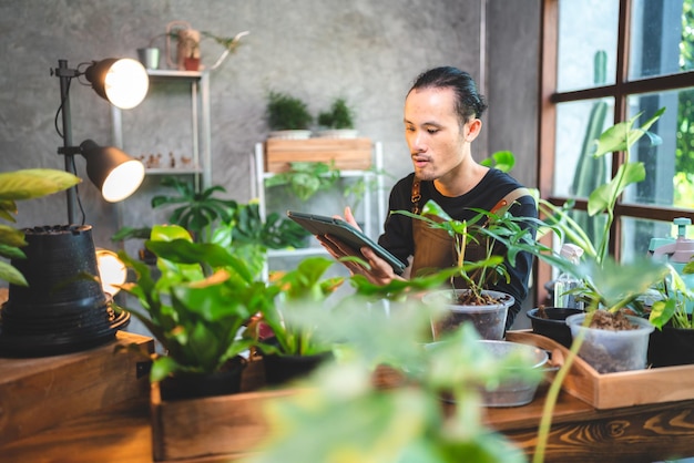 Junge Gartenarbeit eine Pflanze im Hobby zu Hause Natur Florist Person Lebensstil im grünen Konzept