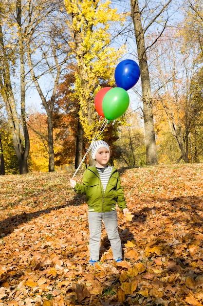 Junge geht in den Herbstpark