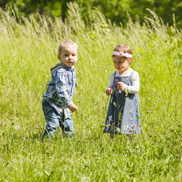 Junge gibt dem Mädchen eine Blume. Kleine Kinder spielen draußen