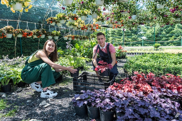 Junge glückliche Floristenpaare kümmern sich in einem Gewächshaus um Blumen. Familienbetrieb