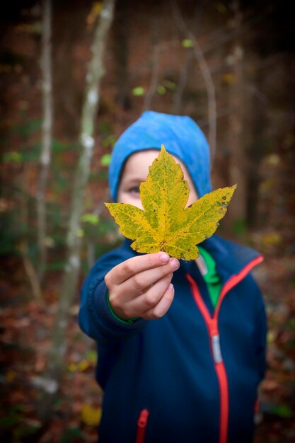 Foto junge hält ein herbstblatt, während er im wald steht