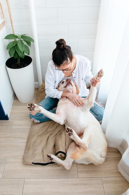 Junge hübsche Frau in Freizeitkleidung umarmt ihren geliebten großen Hund, während sie auf dem Sofa im Wohnzimmer sitzt