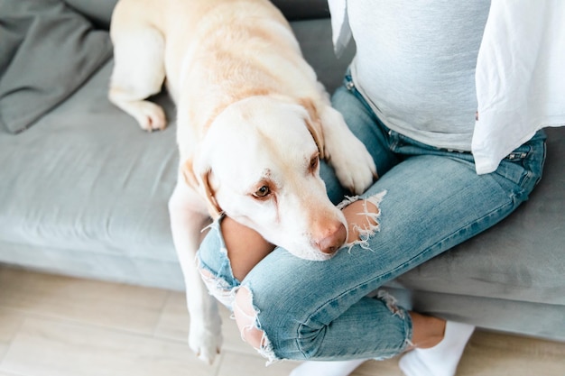 Junge hübsche Frau in Freizeitkleidung umarmt ihren geliebten großen Hund, während sie auf dem Sofa im Wohnzimmer sitzt
