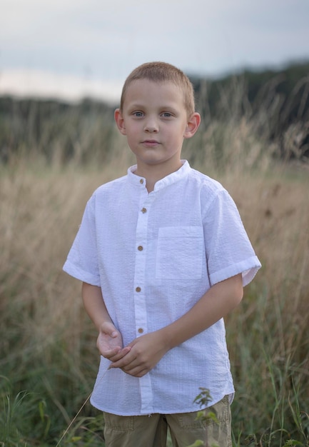 Junge im Schilf Sommerfoto