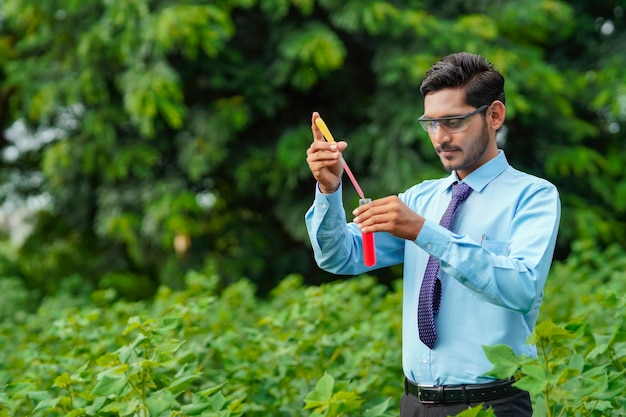 Junge indische Agronomen sammeln Probe am Landwirtschaftsfeld.