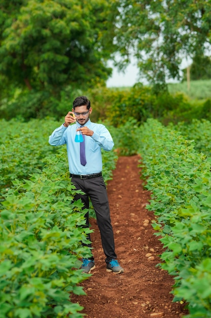 Junge indische Agronomen sammeln Probe am Landwirtschaftsfeld.