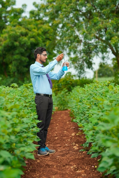 Junge indische Agronomen sammeln Probe am Landwirtschaftsfeld.