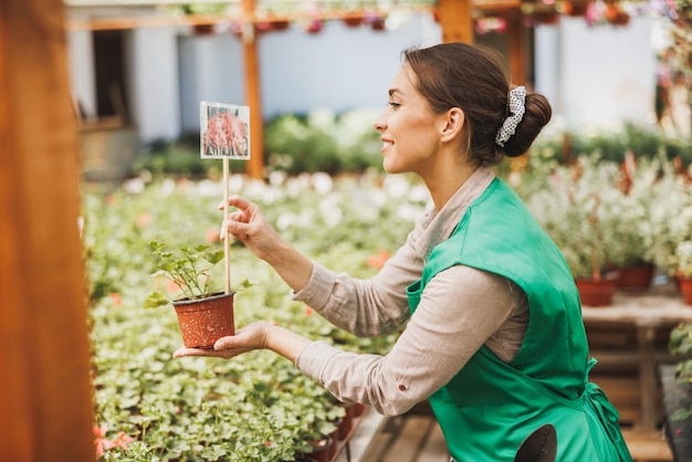 Junge lächelnde Arbeiterin, die in einem Blumengartencenter im Garten arbeitet und Blumen überprüft.