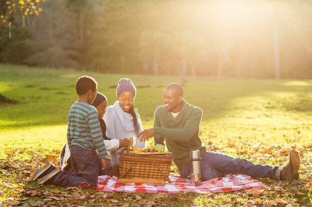 Junge lächelnde Familie, die ein Picknick tut
