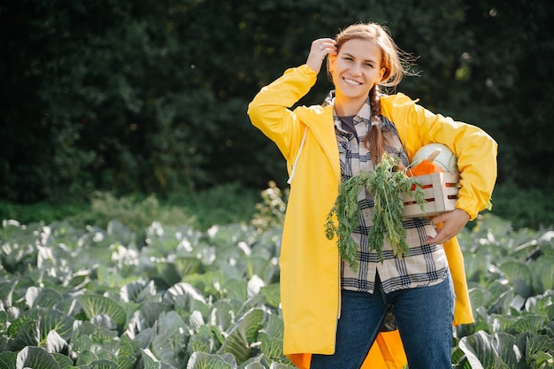 Junge lächelnde Frau in einem gelben Kleid steht auf einem Kohlfeld, das eine Kiste Gemüse hält. Veganismus, Bio-Lebensmittelkonzept.