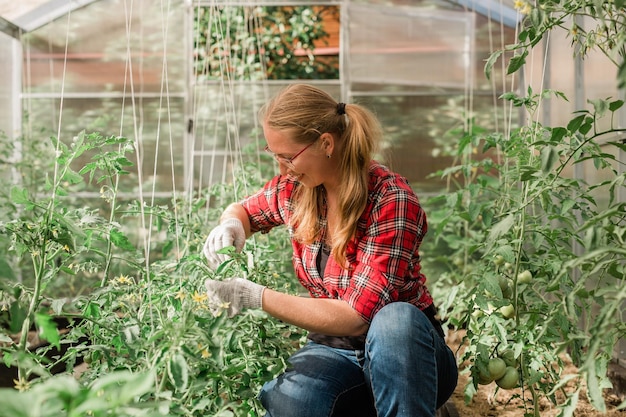 Junge lächelnde Landwirtschaftsporträtfrau im Gewächshaus, die Fixiertomaten im Gewächshaus arbeitet