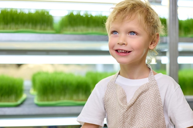 Junge lächelt und blickt vor dem Hintergrund von Regalen mit Mikrogrün auf