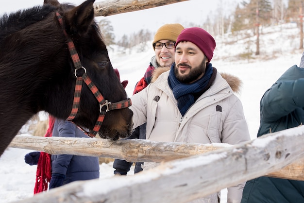 Junge Leute, die Pferde auf Ranch streicheln