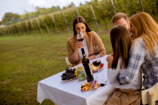 Junge Leute genießen das Abendessen und die Weinprobe im Weinberg