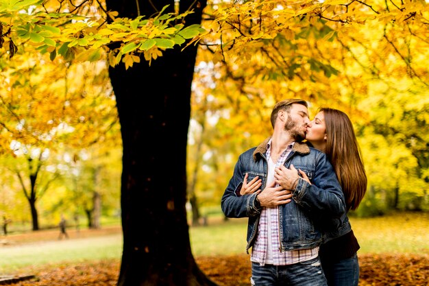 Junge liebevolle Paare im Park an einem sonnigen Herbsttag