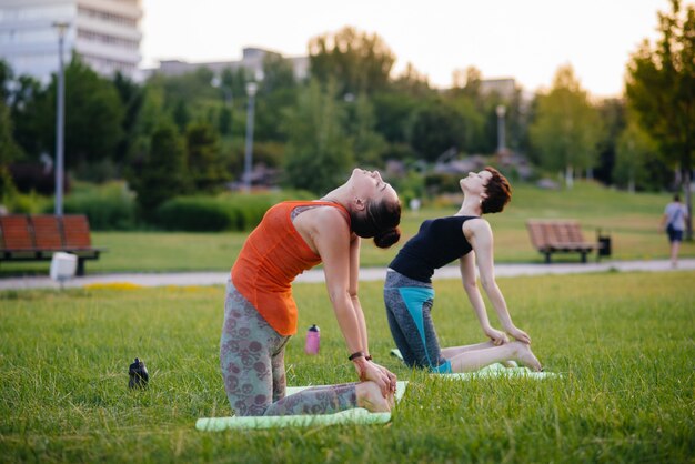 Junge Mädchen machen Yoga im Freien im Park während des Sonnenuntergangs. Gesunder Lebensstil