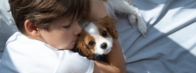 Junge mit einem Hund in einer Umarmung liegt im Bett Schlafen Sie mit Haustieren süßer Welpe Cavalier King Charles Spaniel