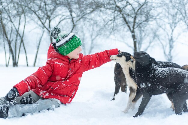 Junge mit gestricktem Hut sitzt im Schnee und streichelt Mischlingshund Teenager spielt mit Haustieren Hunde im Winterpark