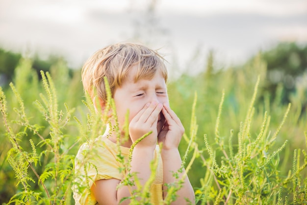 Junge niest wegen einer Allergie gegen Ambrosia