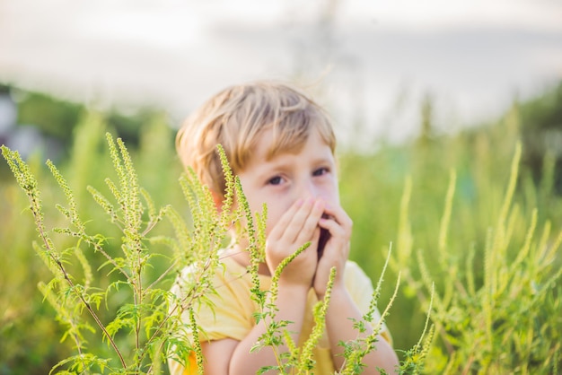 Junge niest wegen einer Allergie gegen Ambrosia