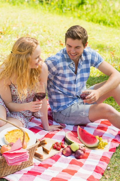 Junge Paare auf einem trinkenden Wein des Picknicks