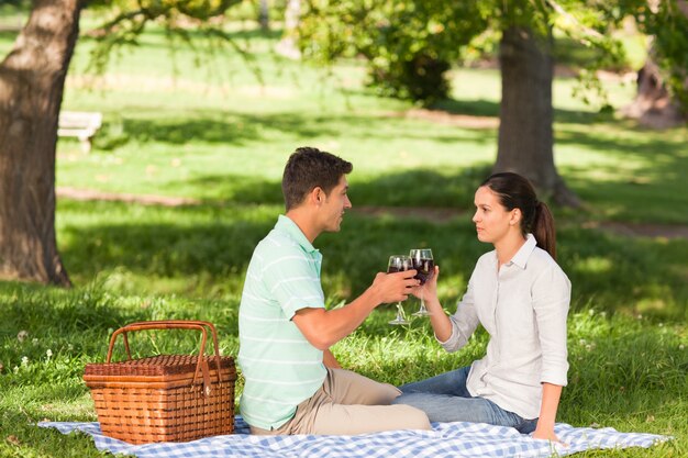 Junge Paare, die im Park picknicken