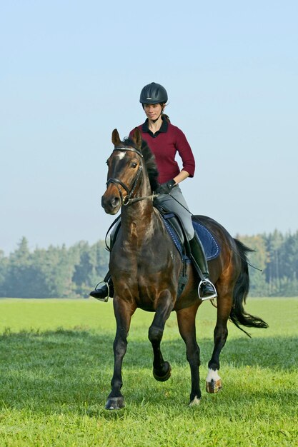 Foto junge reiterin galoppiert auf dem rücken ihres deutschen pferdes