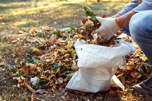 Junge sammelt abgefallene Blätter im Herbst