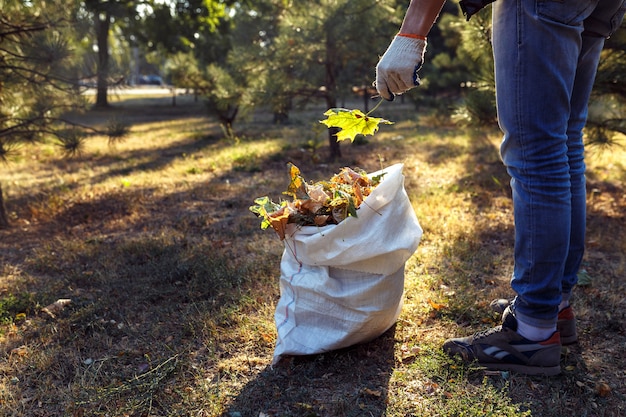 Junge sammelt abgefallene Blätter im Herbst