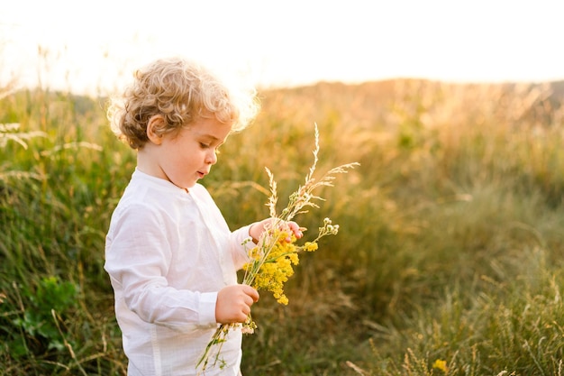 Junge sammelt Strauß Wildblumen