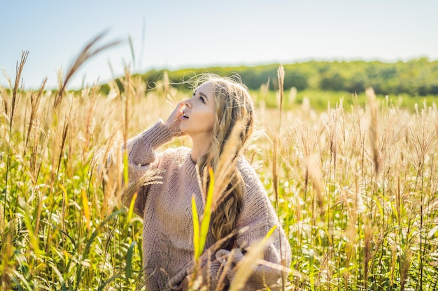 Junge schöne Frau in Herbstlandschaft mit Trockenblumen, Weizenspitzen. Mode Herbst, Winter. Sonniger Herbst, gemütlicher Herbstpullover. Modefoto