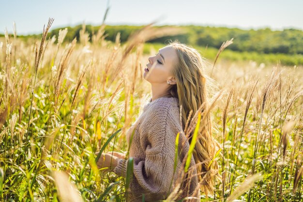 Junge schöne Frau in Herbstlandschaft mit Trockenblumen, Weizenspitzen. Mode Herbst, Winter. Sonniger Herbst, gemütlicher Herbstpullover. Modefoto