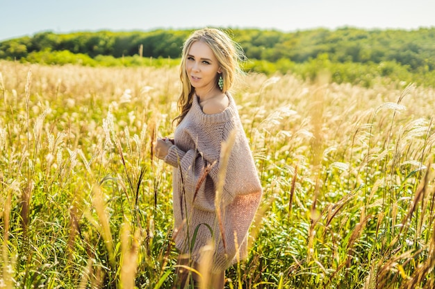 Junge schöne Frau in Herbstlandschaft mit Trockenblumen, Weizenspitzen. Mode Herbst, Winter. Sonniger Herbst, gemütlicher Herbstpullover. Modefoto