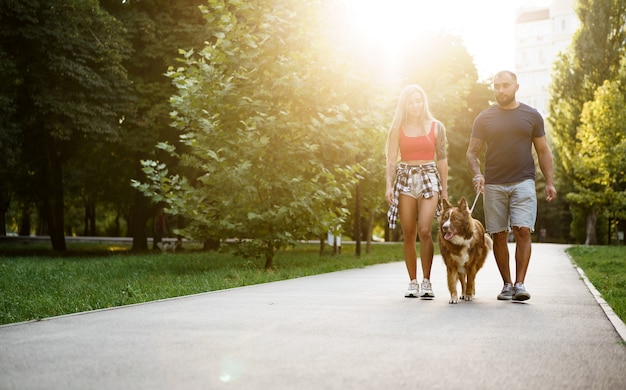 Junge schöne Paare, die den Hund im Sommerpark spazieren gehen