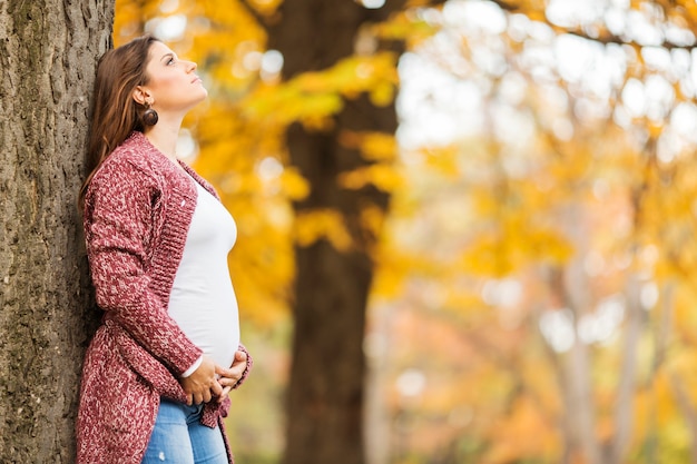 Junge schwangere Frau im Herbstpark