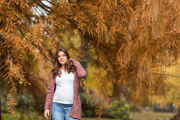 Junge schwangere Frau im Herbstpark