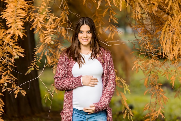 Junge schwangere Frau im Herbstpark