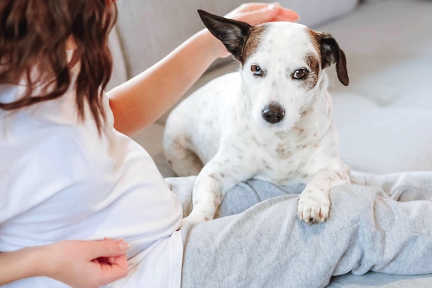 Junge schwangere Frau spielt mit ihrem Hund im Wohnzimmer