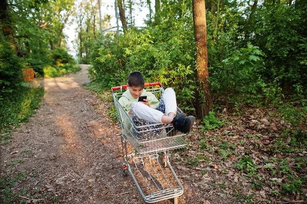 Junge sitzt im Wagen mit Handy im Wald