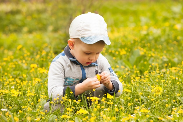 Junge spielt mit Blumen auf den Wiesen