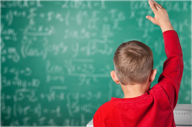 Junge studiert Thema in der Schule, Rückansicht, Tafelhintergrund.