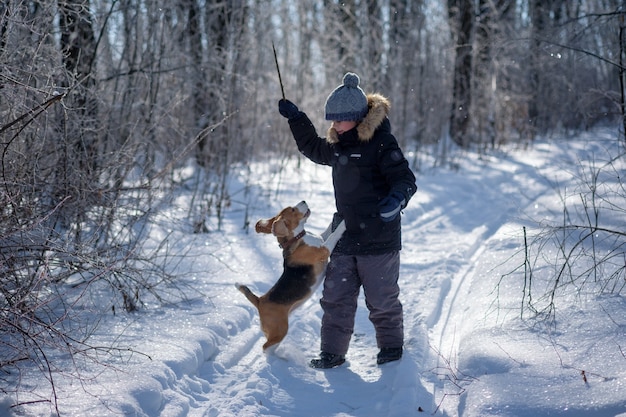 Junge und Beagle-Hund, der an einem frostigen sonnigen Tag im schneebedeckten Winterwald geht und spielt