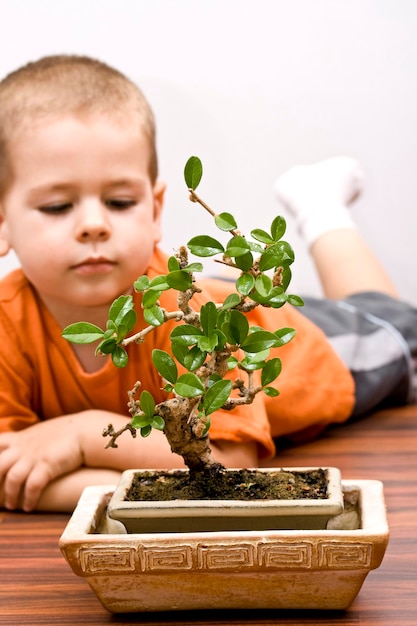 Junge und der Bonsai