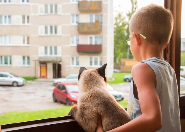 Junge und Katze beobachten das Fenster in den Hof