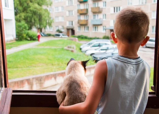 Junge und Katze beobachten das Fenster in den Hof