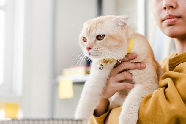 Junge weibliche Besitzerin, die eine schöne Katze in ihren Armen hält